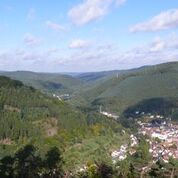 Bild Pfälzerwald 1_BE Bild Pfälzerwald 1_BE