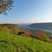 Bild Rhein-Westerwald Bild Rhein-Westerwald