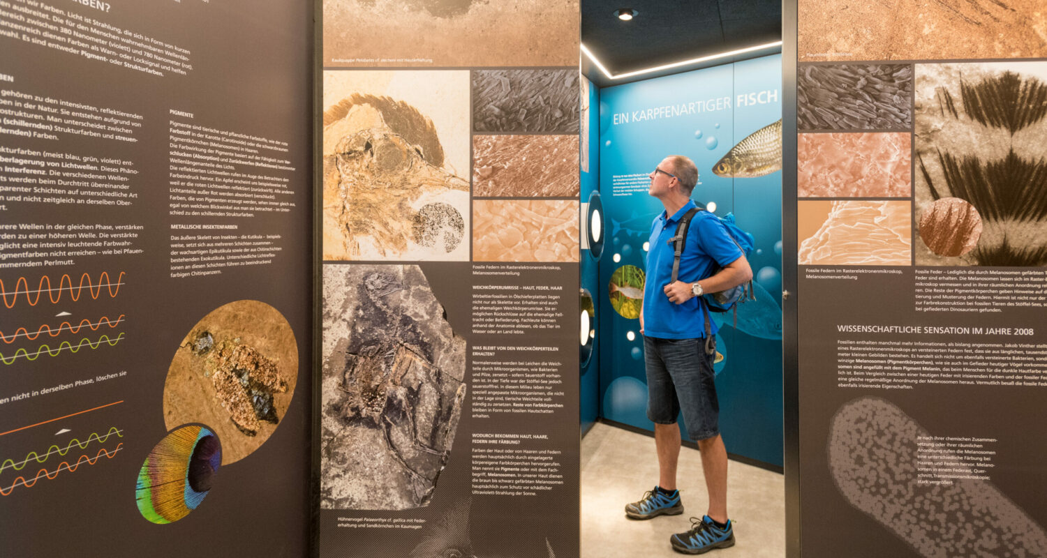 Die Welt der Fossilien im Stöffel-Park entdecken Der Stöffel – ein gewaltiger Steinbruch, in dem über 100 Jahre Basalt abgebaut wurde – präsentiert sich nun als 140 ha großer Kultur- und Landschaftspark. Der Stöffel birgt nicht nur ein in dieser Vollständigkeit einmaliges Ensemble historischer Bauten der Basalt verarbeitenden Industrie, sondern gleichzeitig eine weltweit bedeutende Fossillagerstätte. 25 Millionen Jahre Erdgeschichte werden hier lebendig, erhalten in den Ablagerungen eines Maarsees. Erlebnisräume verschaffen Einblicke in die Industriegeschichte und Themenwege rund um den Park präsentieren Wissen.