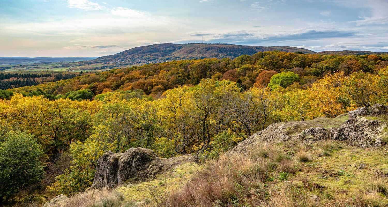 Der Donnersberg ist die höchste Erhebung der Pfalz. Vom Drosselfels hat man ihn gut im Blick. Auf dem Donnersberg gibt es auch einen keltischen Ringwall, seit 2013 existiert dort auch ein Keltischer Skulpturenweg.