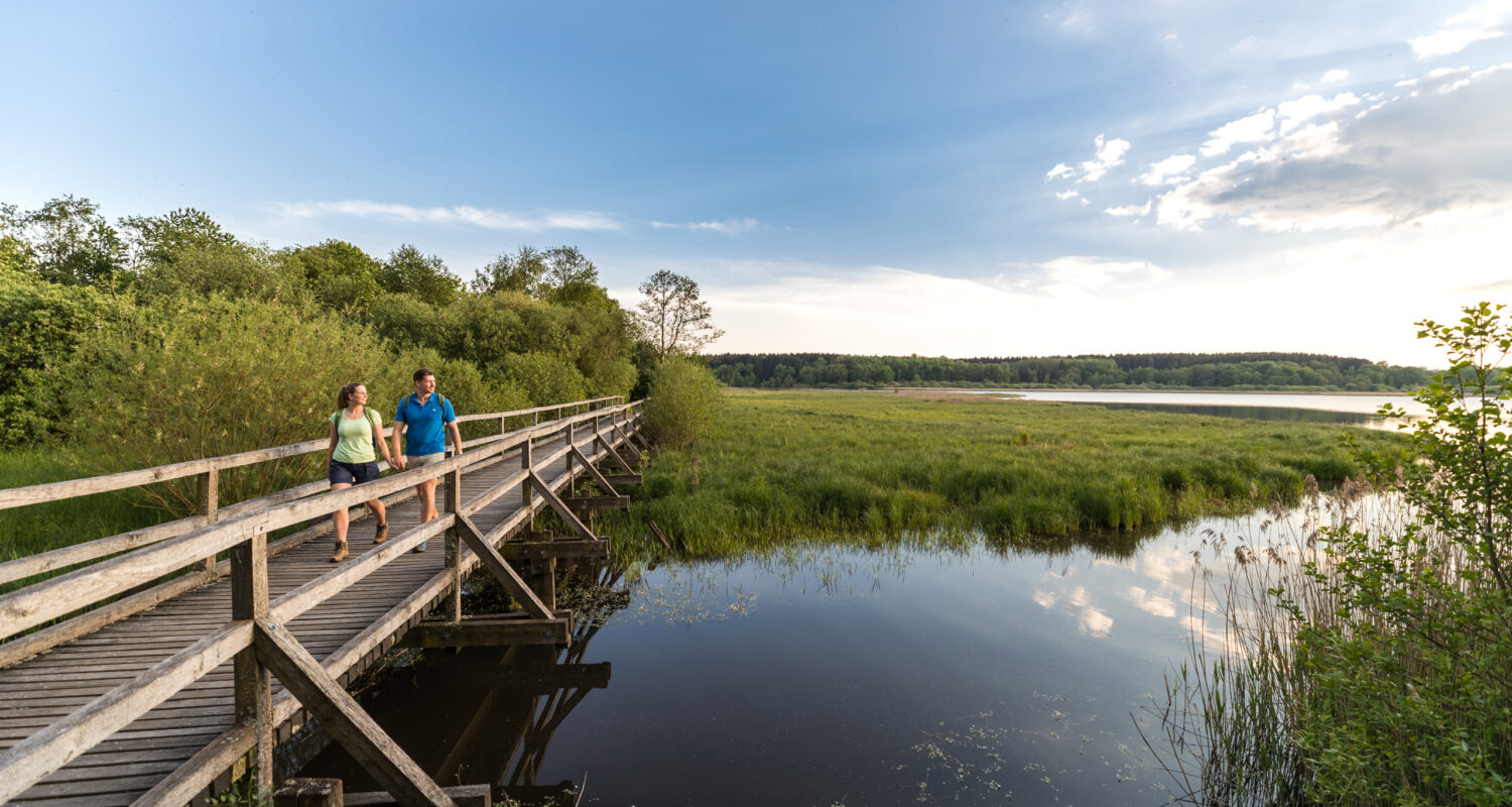 Dreifelder Weiher Im Zentrum der Mittelgebirgslandschaft des Westerwaldes bilden zwischen den Städten Hachenburg und Montabaur sieben miteinander verbundene Seen die Westerwälder Seenplatte. Einer davon ist der Dreifelder Weiher. Die Gewässer wurden im 17. Jahrhundert als Fischteiche angelegt. Sie sind Lebensraum für 250 Vogelarten. Die Kombination aus Freiwasserflächen, flachen Uferzonen, dichten Röhricht- und Seggenbeständen sowie angrenzenden Bruchwäldern und Grünländereien schafft ideale Bedingungen für Wasservögel wie Zwergtaucher und Reiherenten.