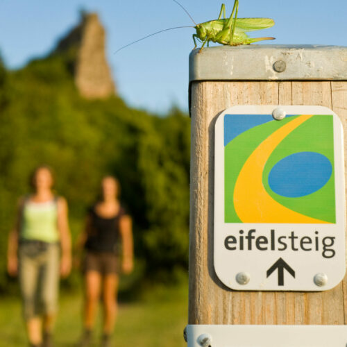 Wegmarkierung Eifelsteig Wegweiser des Eifelsteigs an einem Holzpfosten im Vordergrund, im Hintergrund sind zwei Personen auf einem Wanderweg unterwegs.