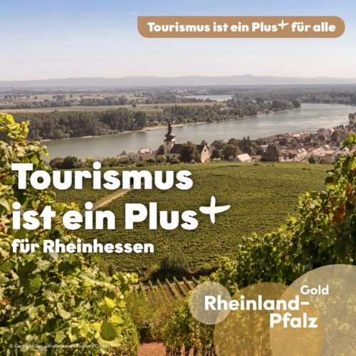 250526 RPT Informationsoffensive Rheinhessen_Instagram Kampagnenmotiv Tourismus ist ein Plus für Rheinhessen: Blick über Weinberge in Rheinhessen mit dem Rhein und einem Ort im Hintergrund.