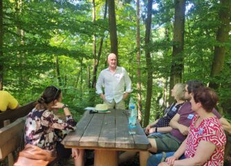 Input Stefan Rees - Waldbaden