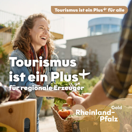 250331 RPT Informationsoffensive Motiv Regionale Erzeuger_Instagram Kampagnenmotiv zum Thema Tourismus ist ein Plus für regionale Erzeuger: Eine Person kauft an einem Marktstand Gemüse ein.