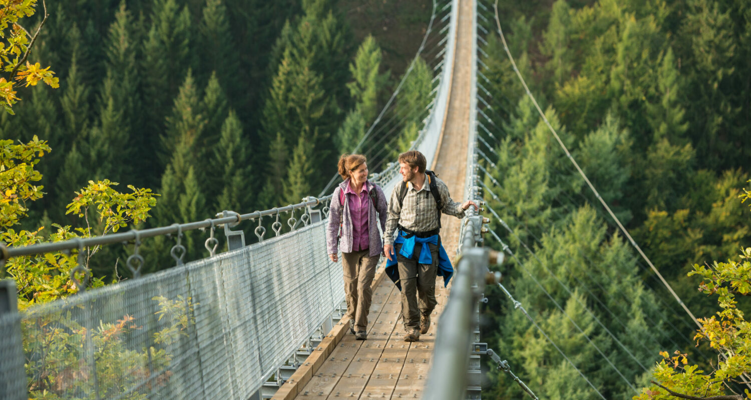Der Nationalpark Hunsrück-Hochwald und die schönste Hängeseilbrücke Deutschlands, die Geierlay-Hängeseilbrücke, wurden beide in diesem Jahr im Hunsrück eröffnet. Die neuen Attraktionen bieten jede für sich ein besonderes Erlebnis: Der Nationalpark beeindruckt mit über 140 Jahre alten Buchenbäumen, Moor- und Felslandschaften. Die Hängeseilbrücke zwischen Mörsdorf und Sosberg begeistert mit einer Länge von 360 Metern und 100 Metern Höhe über dem Bachtal.