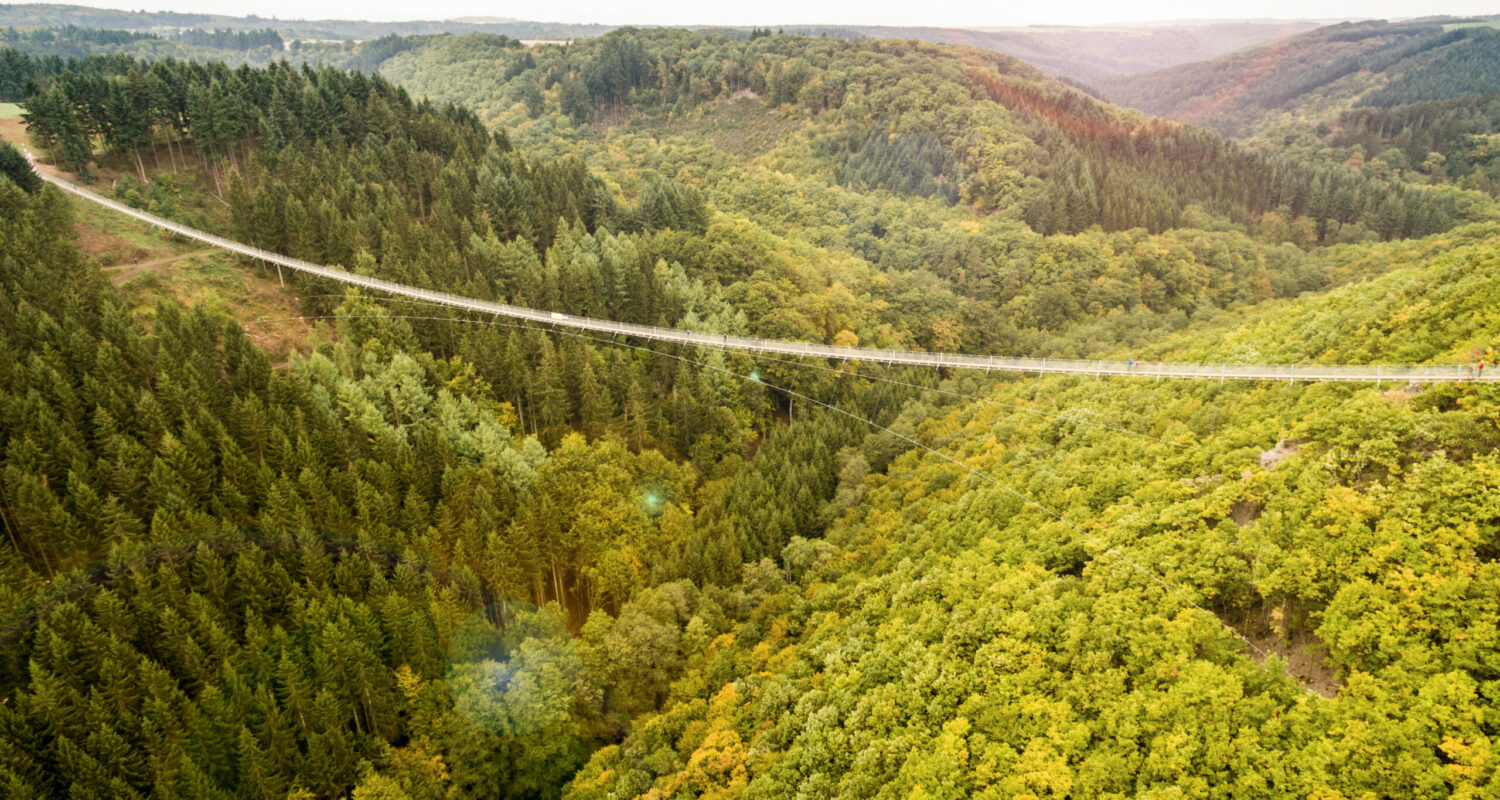 Der Nationalpark Hunsrück-Hochwald und die schönste Hängeseilbrücke Deutschlands, die Geierlay-Hängeseilbrücke, sind hochkarätige Attraktionen im Hunsrück. Sie bieten jede für sich ein besonderes Erlebnis: Der Nationalpark beeindruckt mit über 140 Jahre alten Buchenbäumen, Moor- und Felslandschaften. Die Hängeseilbrücke zwischen Mörsdorf und Sosberg begeistert mit einer Länge von 360 Metern und 100 Metern Höhe über dem Bachtal.